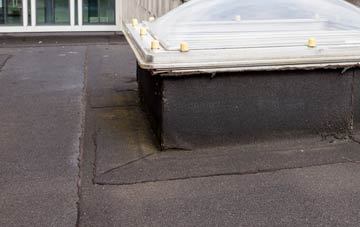 disadvantages of Abbots Bickington flat roofs