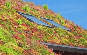 Abbots Bickington living roof systems