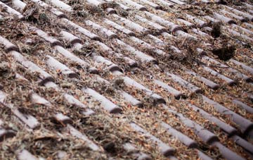 Abbots Bickington roof cleaning companies