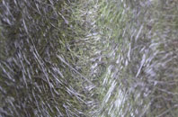 Abbots Bickington fibreglass roof work